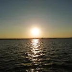 Pollon Ortigia